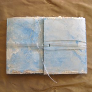 From Penguins to Polar Bears - Antarctica - front cover