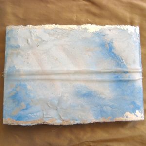 From Penguins to Polar Bears - Antarctica - back cover