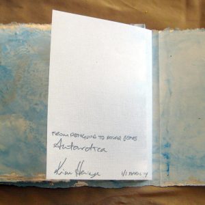 FroFrom Penguins to Polar Bears - Antarcticam Penguins to Polar Bears Antarctica