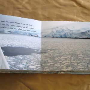 From Penguins to Polar Bears - Antarctica - page 2