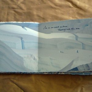 From Penguins to Polar Bears - Antarctica - page 3