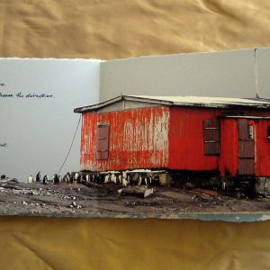 From Penguins to Polar Bears - Antarctica - page 4