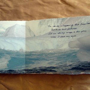 From Penguins to Polar Bears - Antarctica - page 5