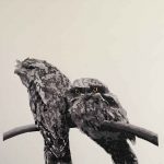 Tawny Frogmouth mother and chick reductive linoprint - finished