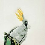 Ruffled Feathers reductive linoprint by Kim Herringe - colour 11 of 11