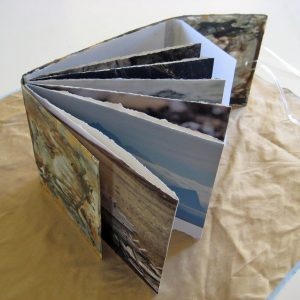 From Penguins to Polar Bears - The Arctic