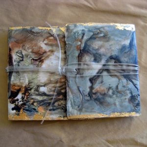 From Penguins to Polar Bears - The Arctic - front cover