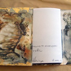 From Penguins to Polar Bears - The Arctic