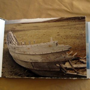 From Penguins to Polar Bears - The Arctic - page 1