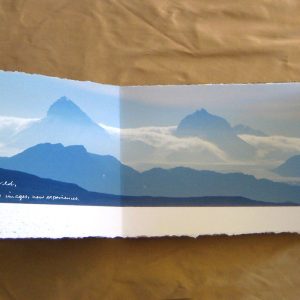 From Penguins to Polar Bears - The Arctic - page 2