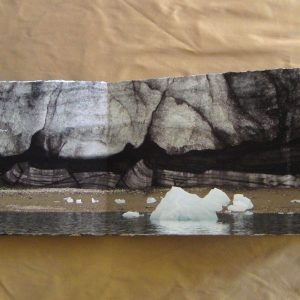 From Penguins to Polar Bears - The Arctic - page 6