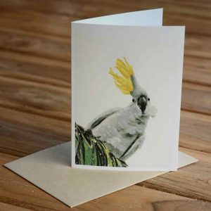 Blank Greeting Card - Ruffled Feathers - by Kim Herringe
