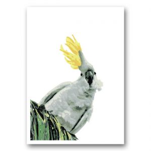 Ruffled Feathers - card front