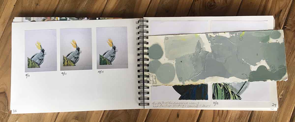 my printmaking process book - Ruffled Feathers by Kim Herringe