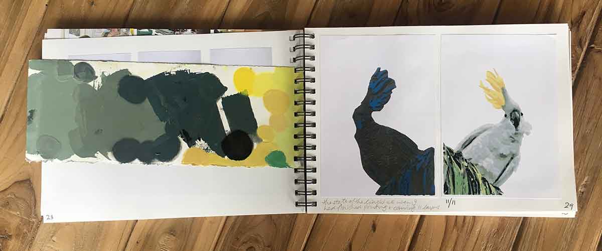 my printmaking process book - Ruffled Feathers by Kim Herringe