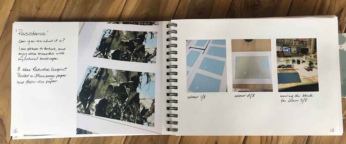 my printmaking process book - Kim Herringe