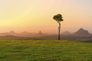 One Tree Hill, Maleny, overlooking the Glass House Mountains