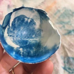 cyanotype eggshell dried