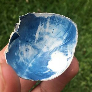 cyanotype on eggshells - the final product 1
