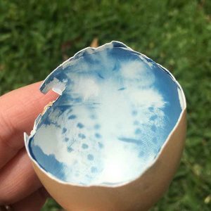 cyanotype on eggshells - the final product 2