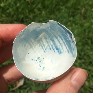 cyanotype on eggshells - the final product 3