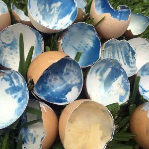 sun printing cyanotype on eggshells