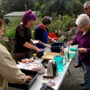 Maleny Printmakers play day - copper sulphate etching