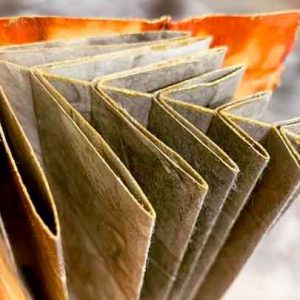 Artist Books Workshop