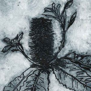 aluminium plate copper sulphate etching - Banksia