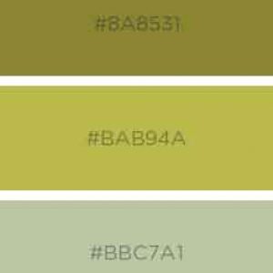 21 day challenge colour palette 2