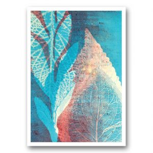 Alizarin Garden - card front