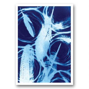 After the rain - card front