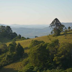 Inspiration - a view from Curramore