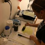 Cyanotype workshop - paper preparation