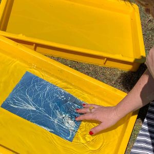 Cyanotype Workshop
