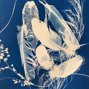 Cyanotype Workshop