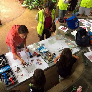 Mary Cairncross BioBlitz Gel Print Monotype workshop
