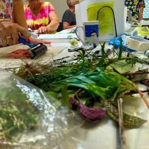 Buderim Craft Cottage Group 2 January 2020