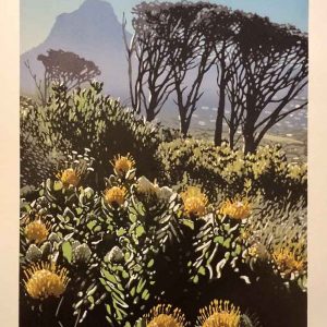 Joshua Miles, Table Mountain Pincushions, reduction linocut