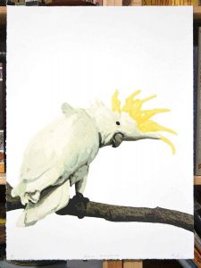 Come on ... come with me