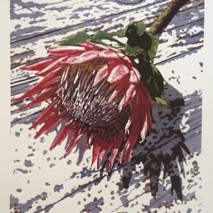 Protea on old table, Joshua Miles reduction linocut