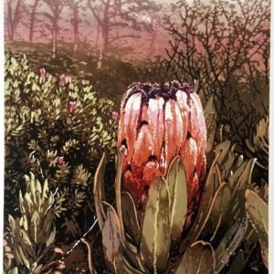 Table Mountain Protea, Joshua Miles reduction linocut