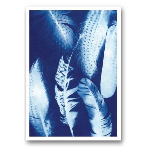 The Menagerie - card front