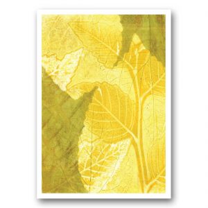 Terre Verte - card front