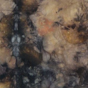 Botanical Eco Print Silk Scarf 160-06 - detail