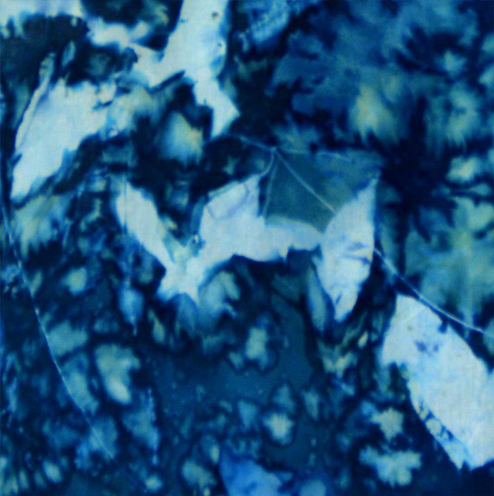 Cyanotype Cotton Scarf CCS-200-01 - detail