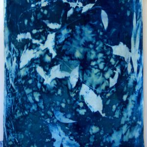 Cyanotype Cotton Scarf CCS-200-01