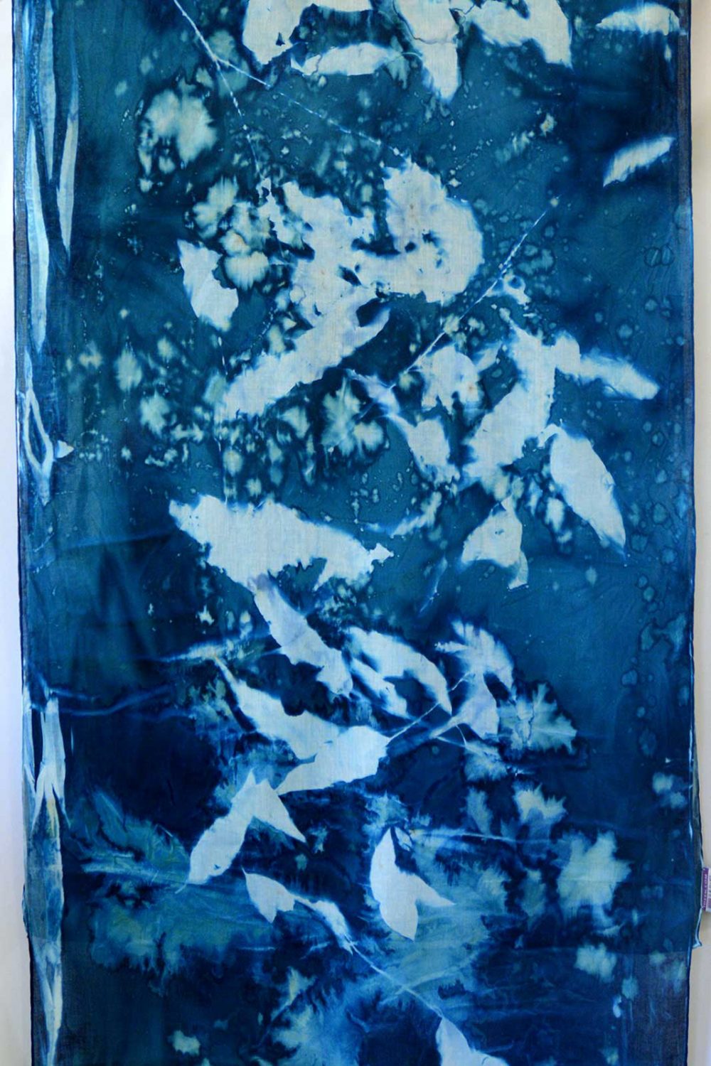 Cyanotype Cotton Scarf CCS-200-01