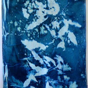 Cyanotype Cotton Scarf CCS-200-01
