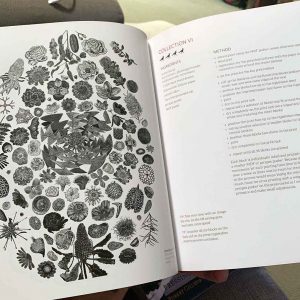 Dianne Fogwell 'A Printmakers Cookbook'